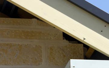 soffit repair Burland
